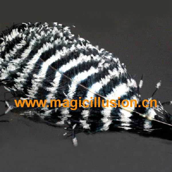 Ostrich feathers Magic Trick Stage Props BLACK COLOR